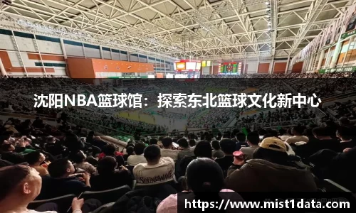 沈阳NBA篮球馆：探索东北篮球文化新中心